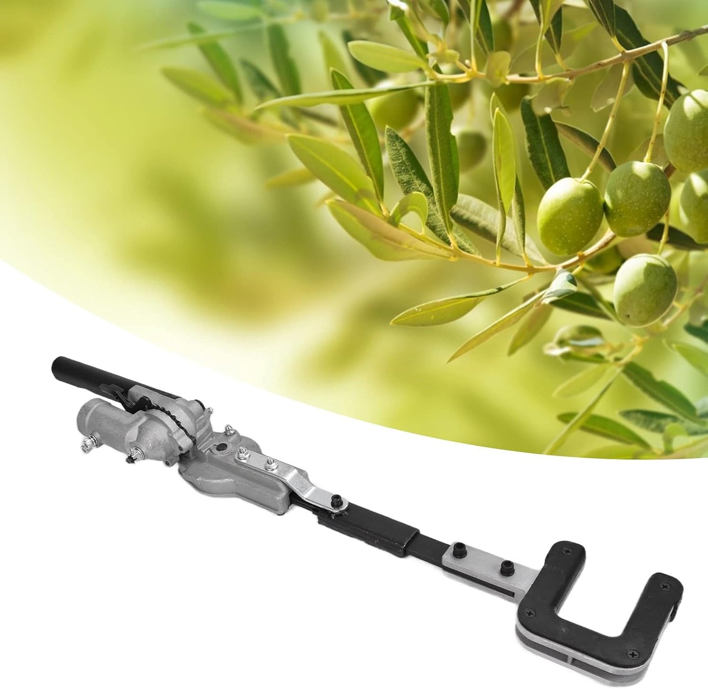 Adaptateur de Récolte d’Olives